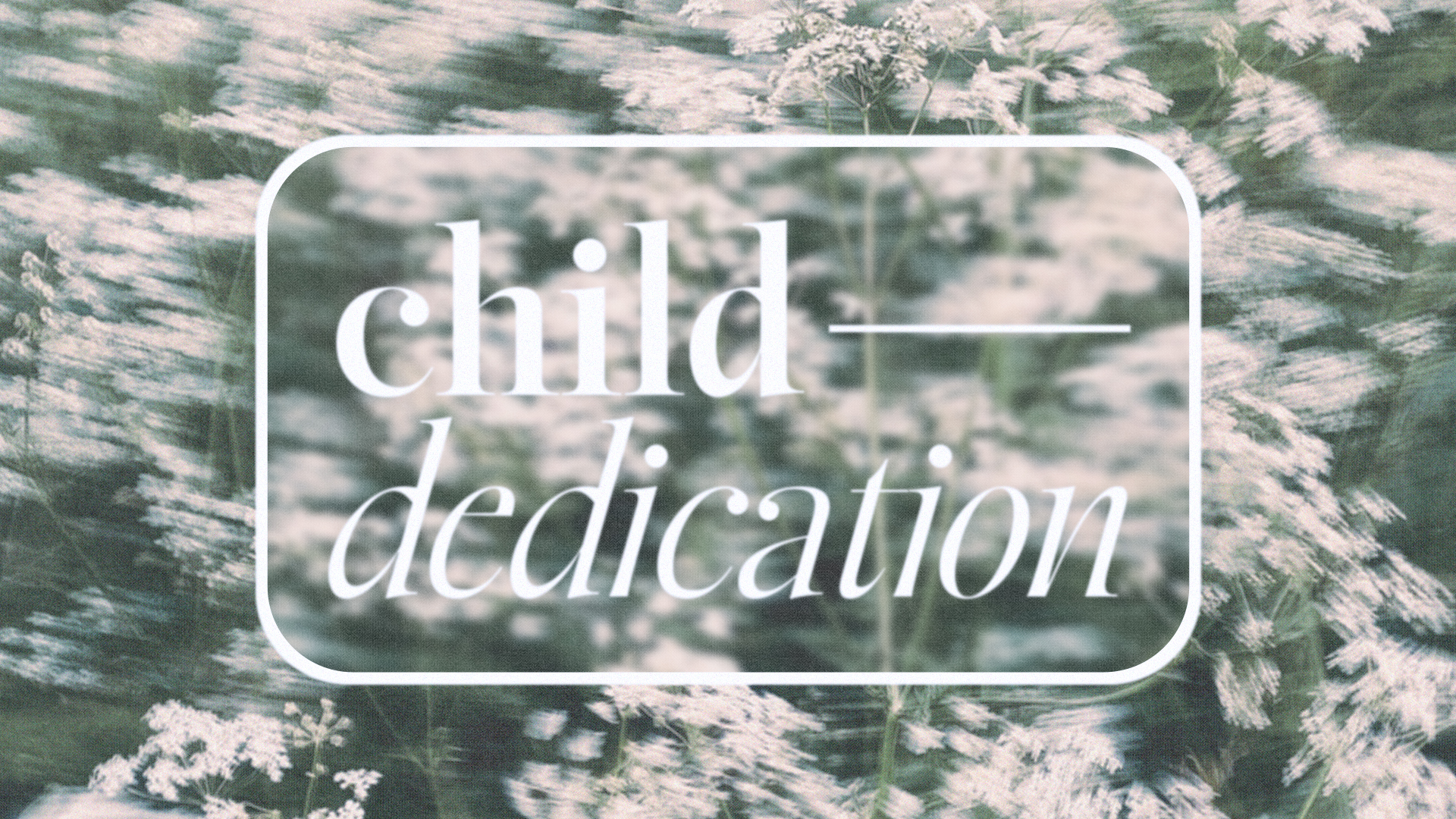 child dedication